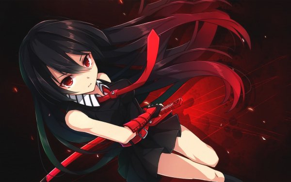 Akame ga Kill 02