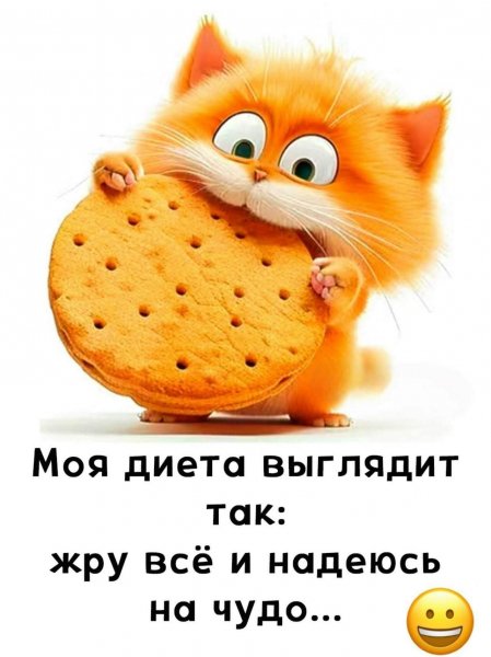 FB IMG 1772219276442