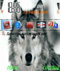 zindaqy theme