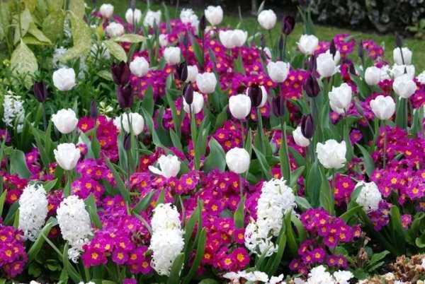 file_96281674