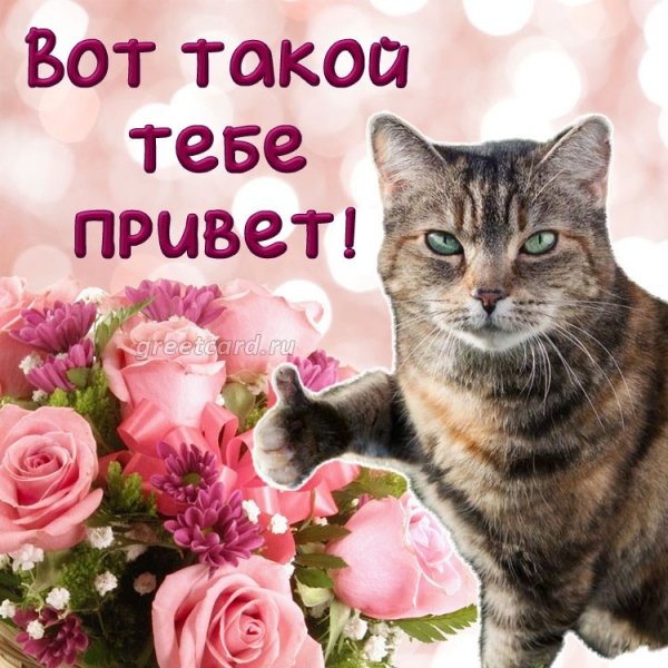 file_101283819