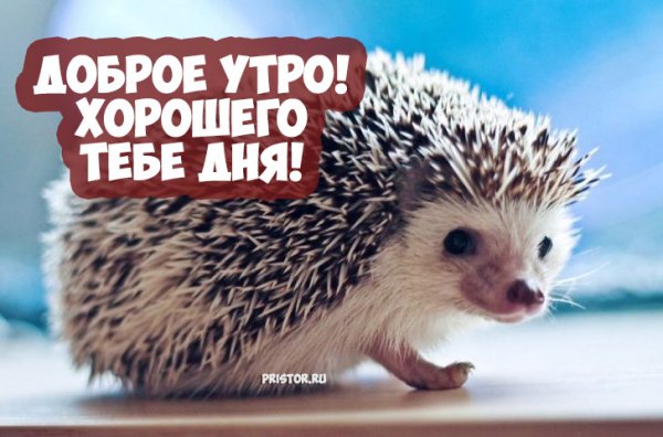 Доброе утро