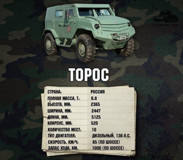 V7DG0