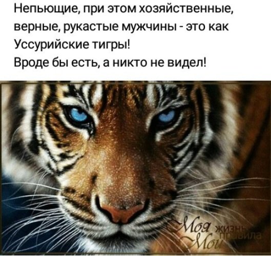 x500