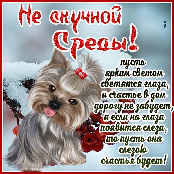 file_96301305