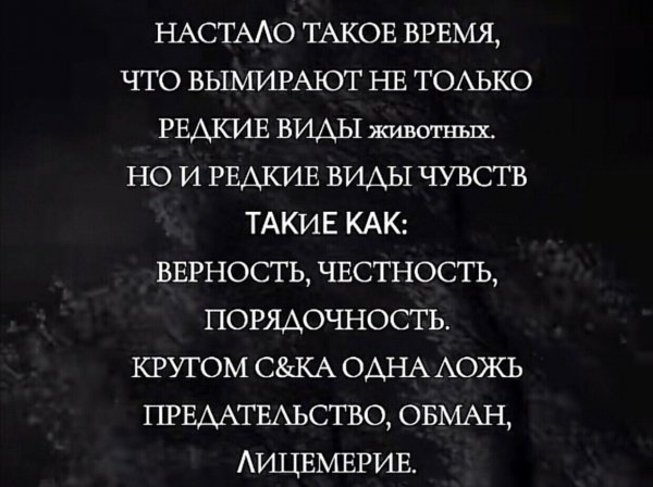 IMG 20231225 133258-