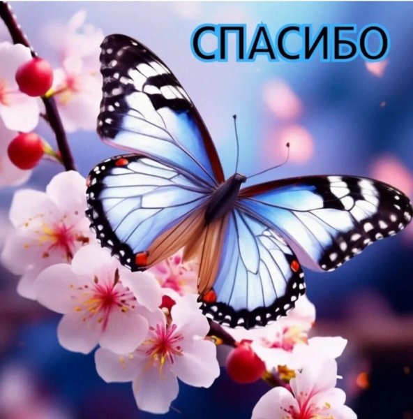 file_99326202