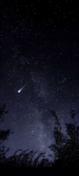 file_94988227