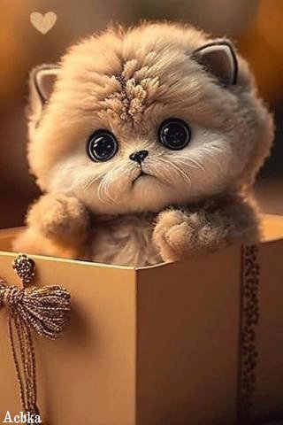 file_93376693