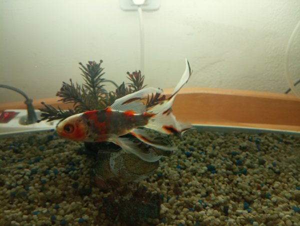 IMG 20230115 101715