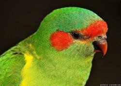 file_48018047