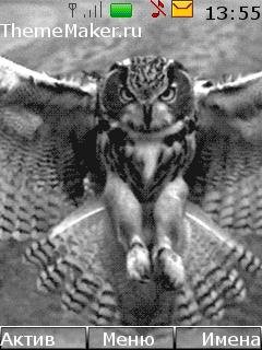 Owl