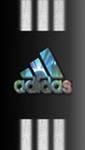 adidas2-33264