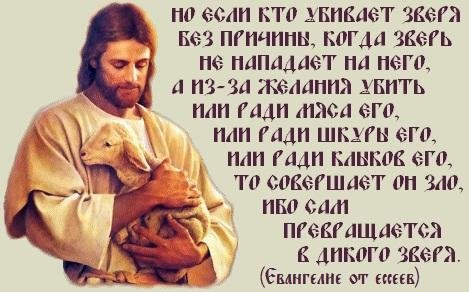 Иисус проповедовал сыроедение
