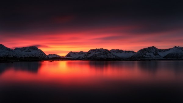 file_61835041