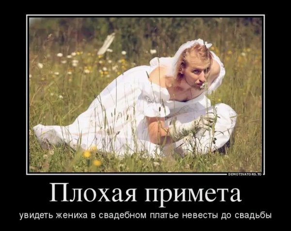 file_103328154