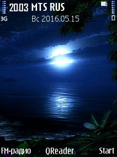 The Night@Trewoga