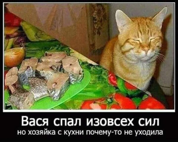 FB IMG 1688720599179-