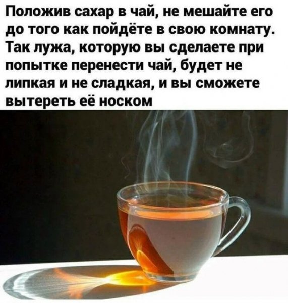 file_103352681