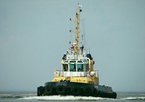 IMG viter59 120437
