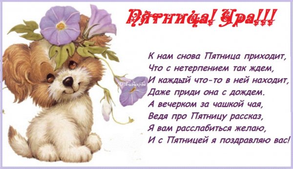 file_64979160