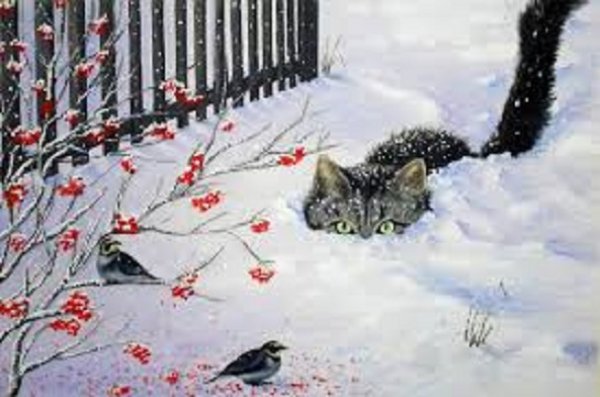 Кот зимой. (15)