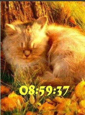 Осенний кот цифр часы