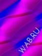 Abstrakt 1