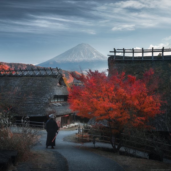 file_95113120