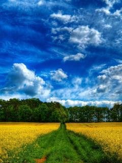 х2 природа