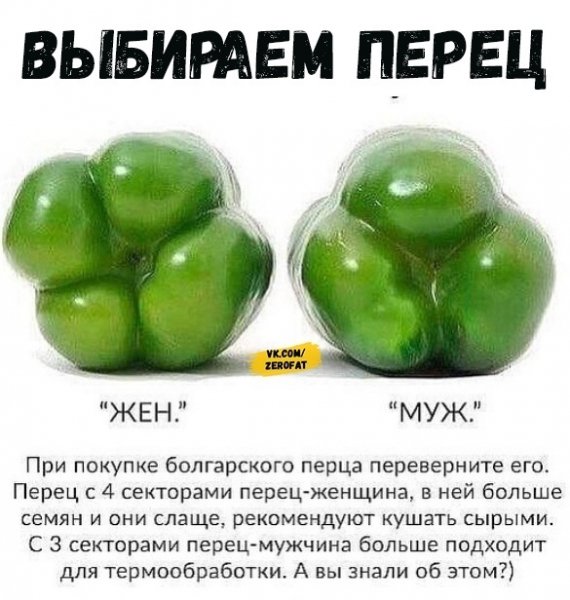 tnNgPEMqMRM