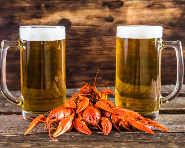 Food Drinks Two glasses of beer with red crawfish on th