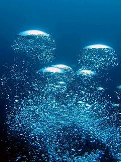 DeepBlue2