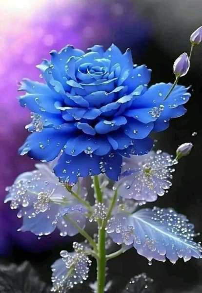 FB IMG 1714555692056