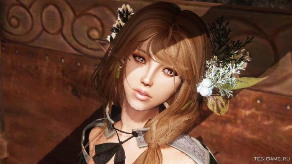 TES-GAME.RU Elwyn