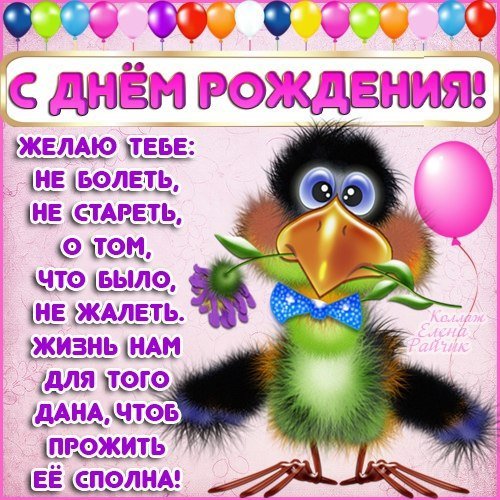 file_81299346