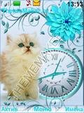 kitty
