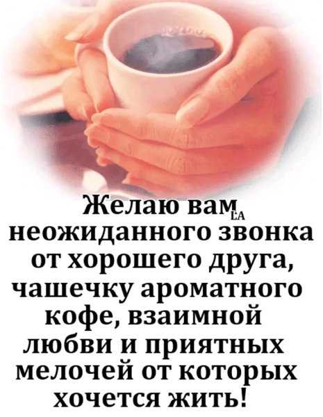 IMG 20260221 020810