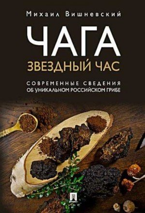 Вишневский Михаил Чага: звездный час (2020)