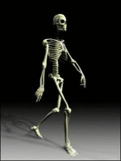 Skull скелет анимация