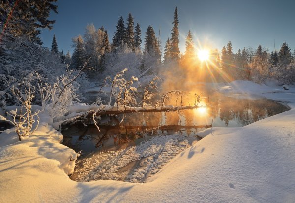 file_92817989