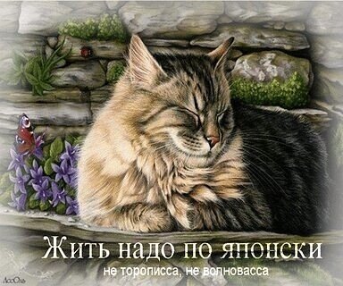 file_90230342