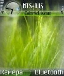 vista grass