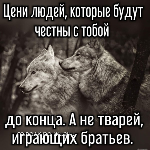 IMG-