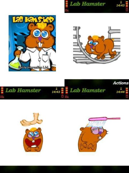Lab Hamster 240x320 6280