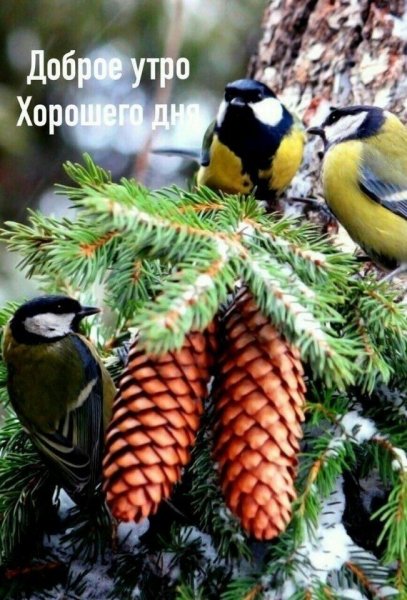 file_92565162