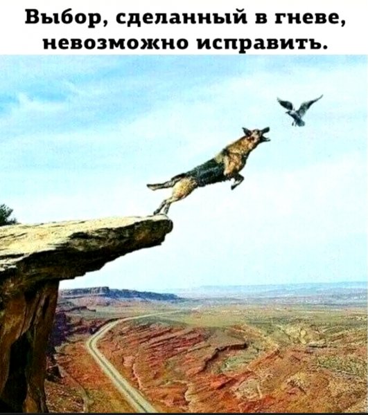 file_100874816