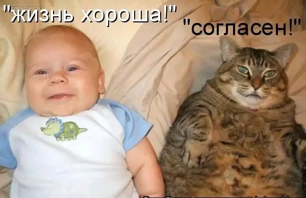 file_103378065