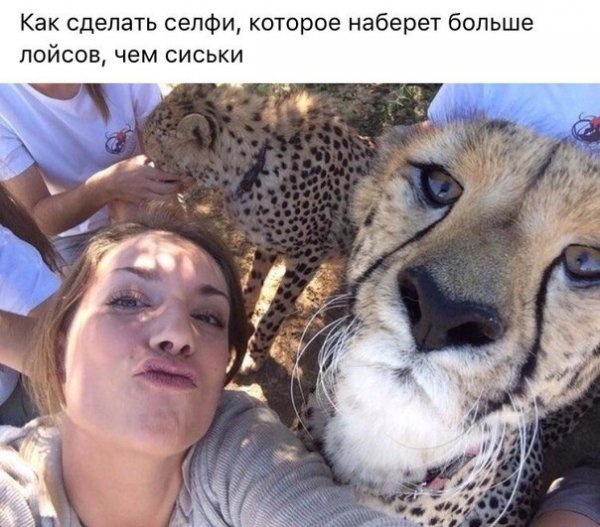 Cелфи