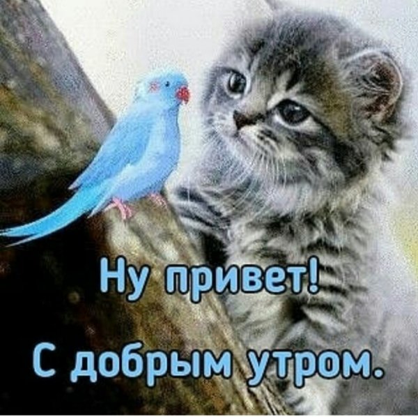IMG-20211119-WA0004